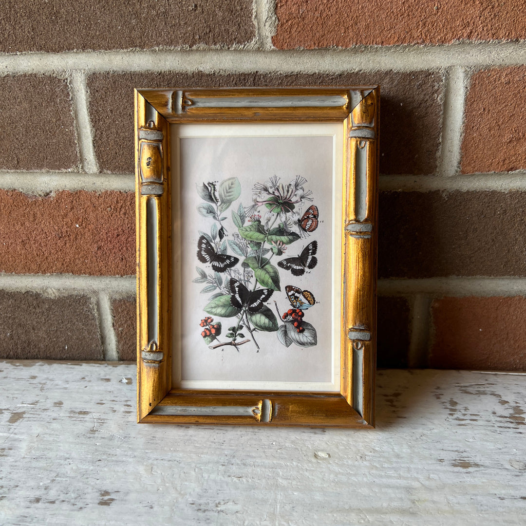 Burnley Matted Frame