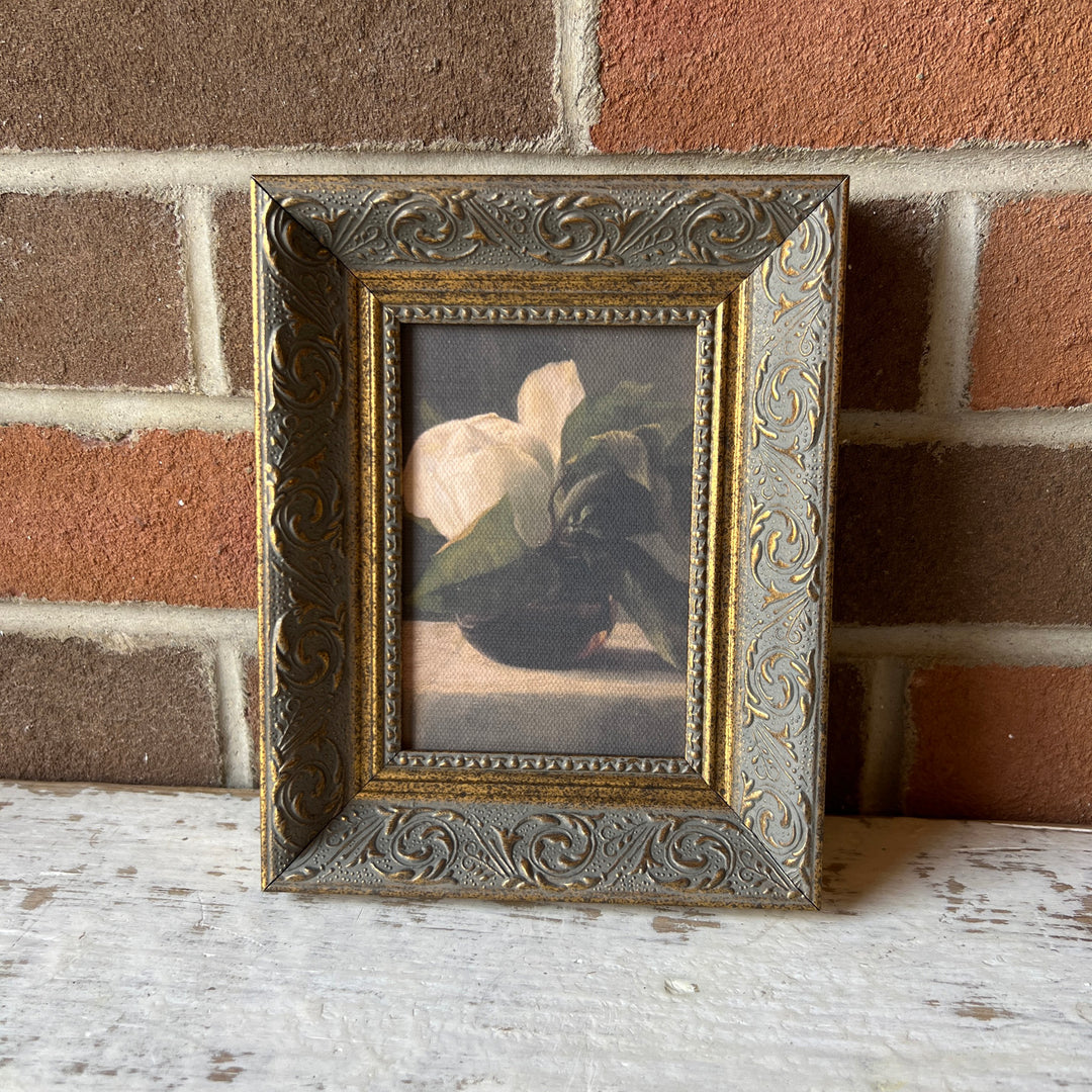 Magnolia