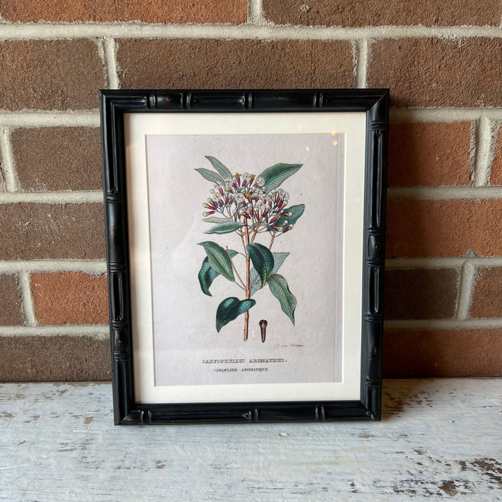 8" x 10" Castleford Matted Frame