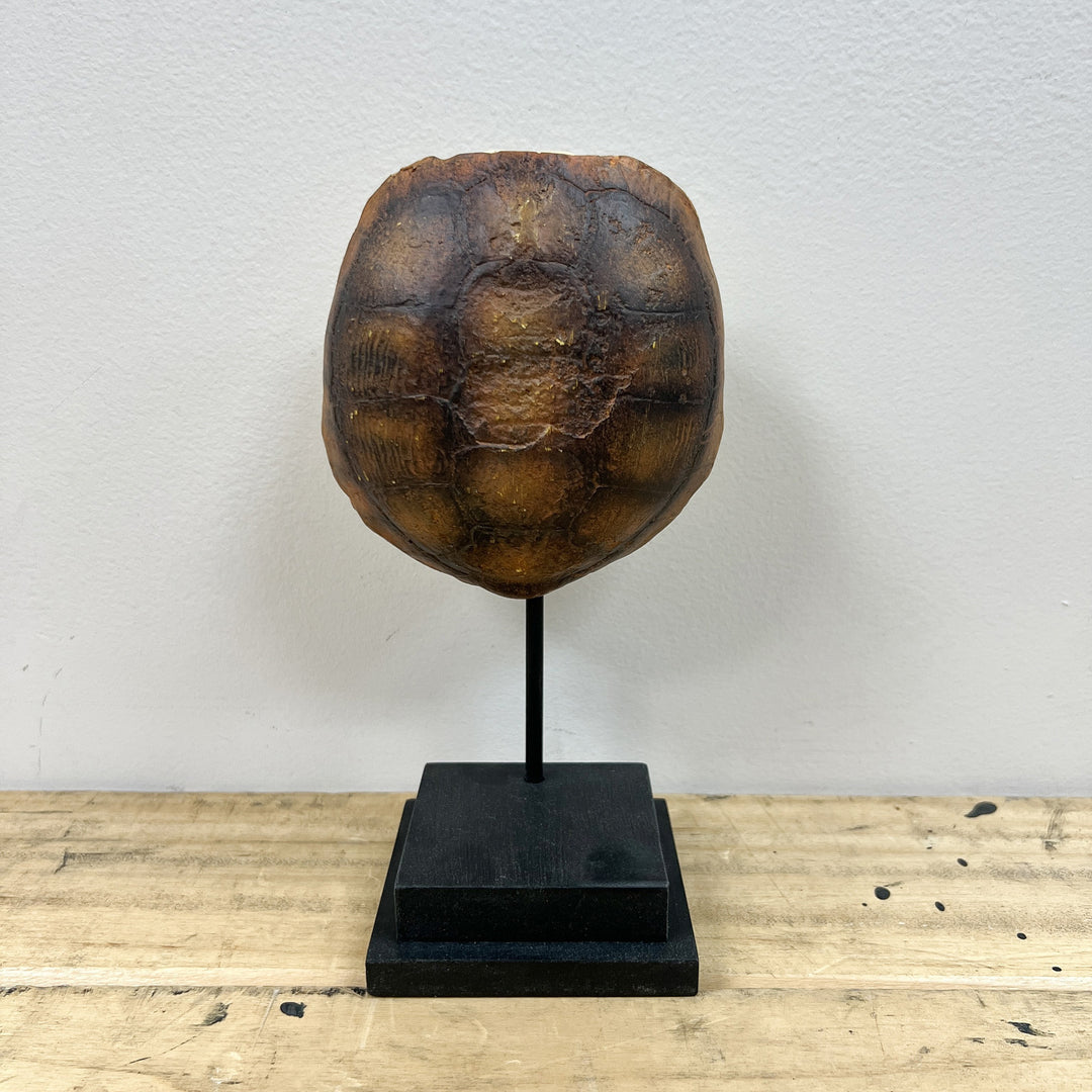 Faux Gopher Tortoise Shell