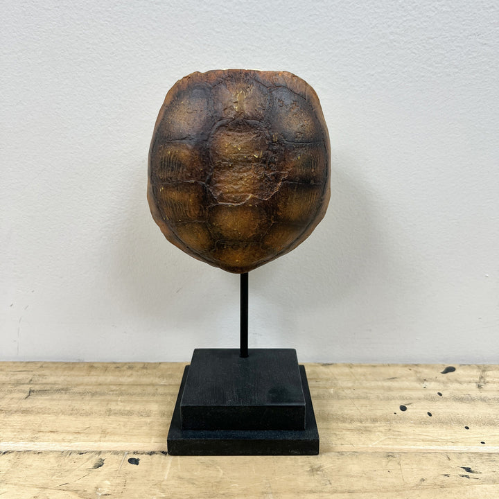 Faux Gopher Tortoise Shell