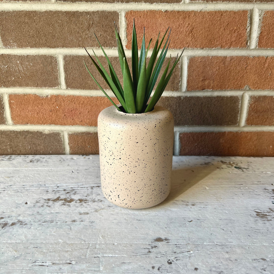 Asmara Budvase