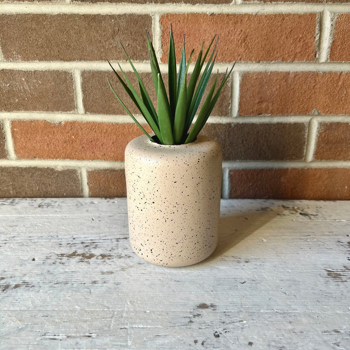 Asmara Budvase