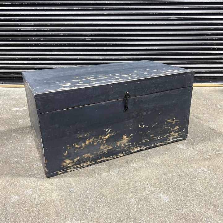 Bosa Antique Trunk
