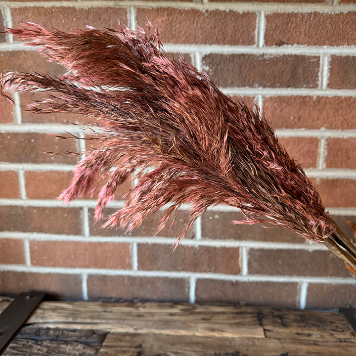 28" Pampas Grass - Brown