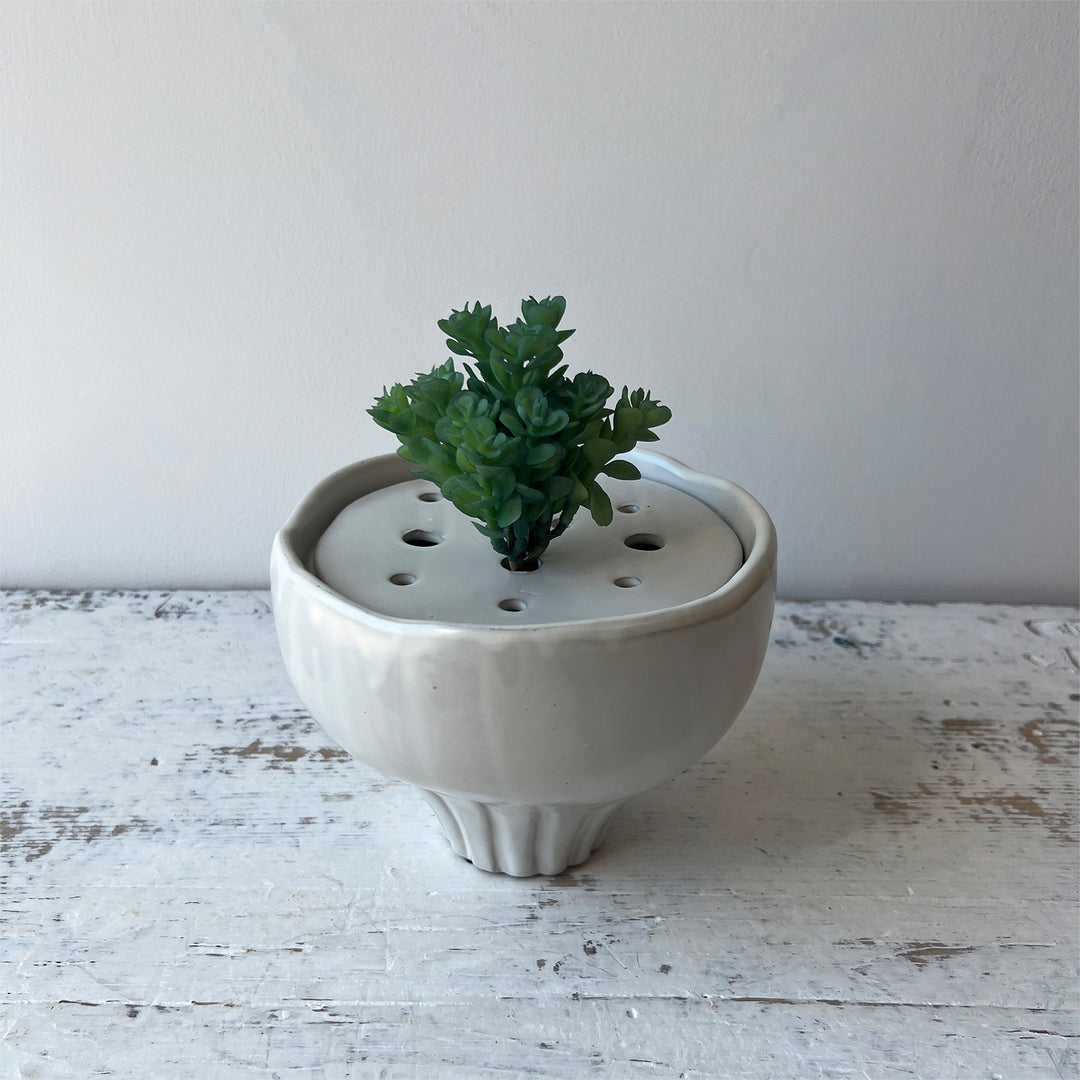 Soft Sedum Pick