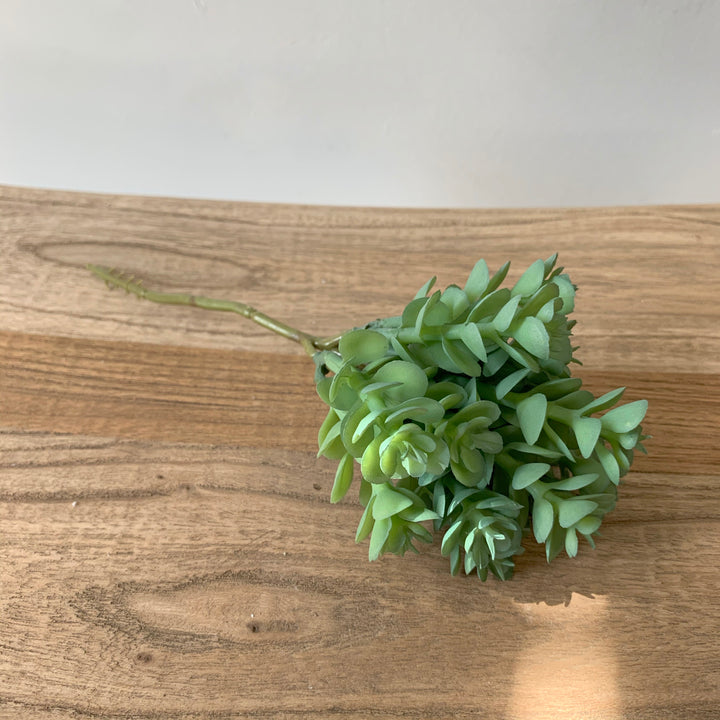 Soft Sedum Pick